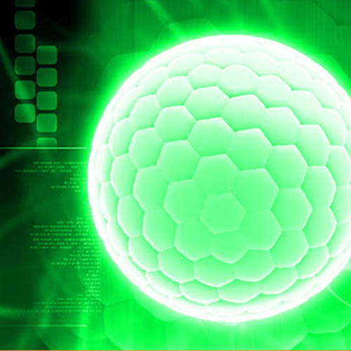 Follicle-stimulating Hormone (FSH)