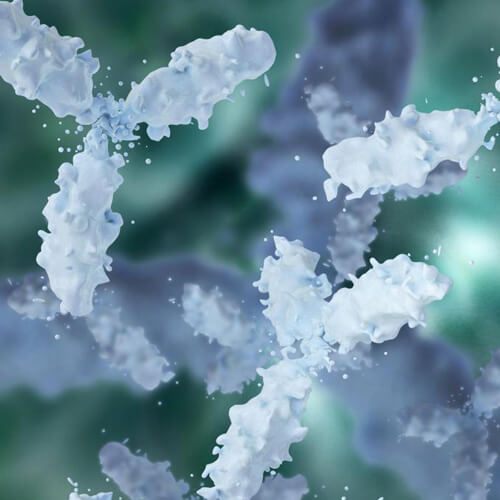 Immunoglobulins (IgA, IgG)