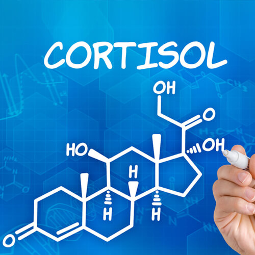 Cortisol