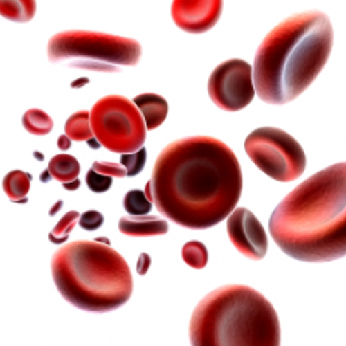 Complete Blood Count (CBC)