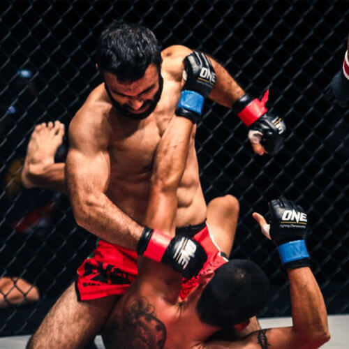 MMA Fighter’s Panel