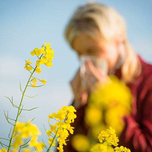 Comprehensive Combination Allergy Panel